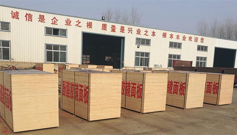 沭阳县根本木制品厂简介专业的建筑模板生产厂家